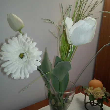 Il Piccolo Rifugio Bed and Breakfast Castellana Grotte