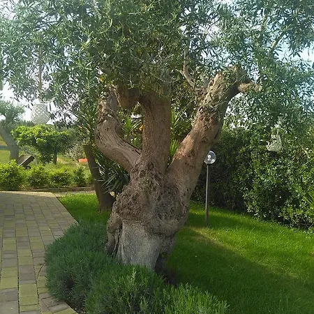 Il Piccolo Rifugio Bed and Breakfast Castellana Grotte