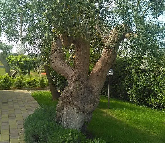 Il Piccolo Rifugio Bed & Breakfast Castellana Grotte